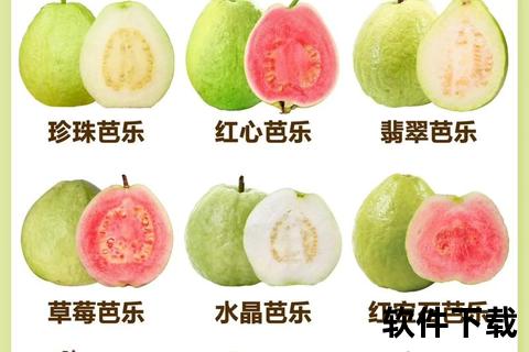 芭乐下载APP安卓版获取指南_一键安装与最新版本下载攻略